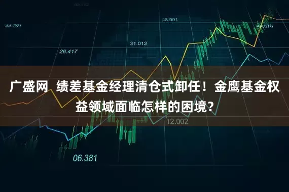 广盛网  绩差基金经理清仓式卸任！金鹰基金权益领域面临怎样的困境？